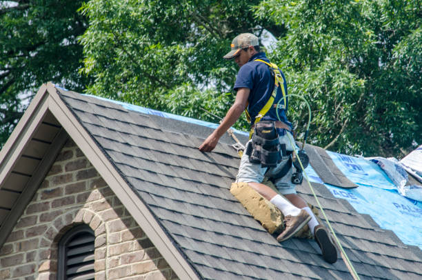 Best Metal Roofing Contractor  in Bruce, MS